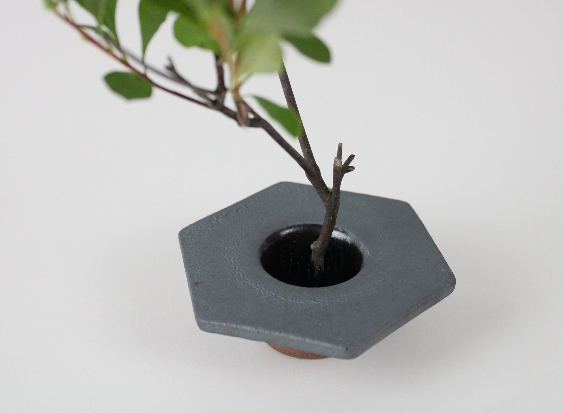 sekskantet minimalistisk jernvase inspireret af traditionelle japanske tagsten, med en grenarrangement.