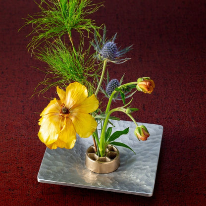 alt
Japanische Blumensteckkunst mit japanischem stachellosem Kenzan „Voronoi“ S – stachellos, einfach zu bedienen