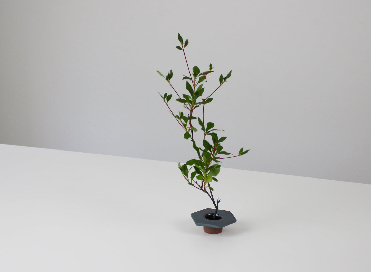 japansk jernfarvet ikebana-vase på et hvidt bord. 