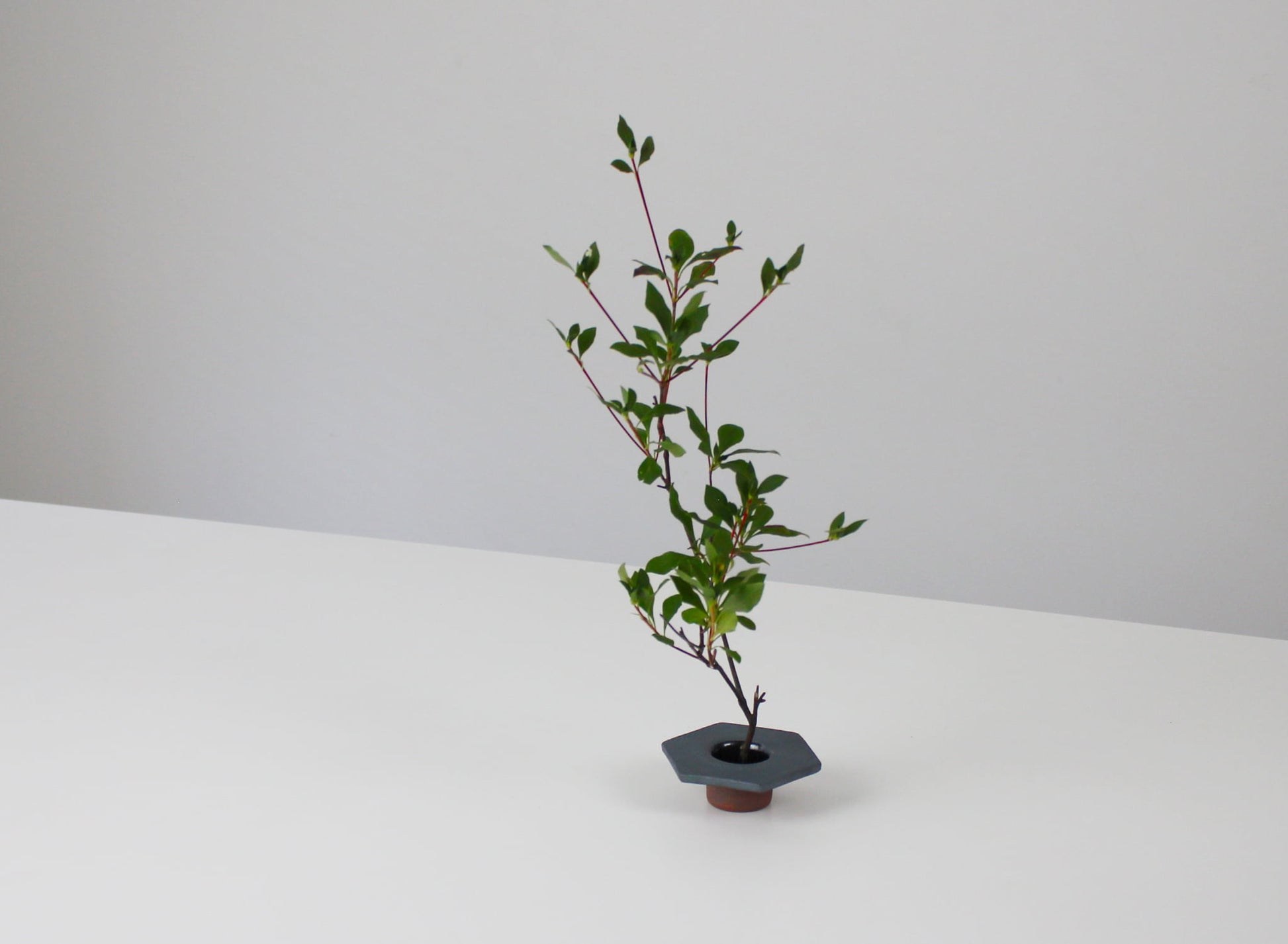 japansk jernfarvet ikebana-vase på et hvidt bord. 