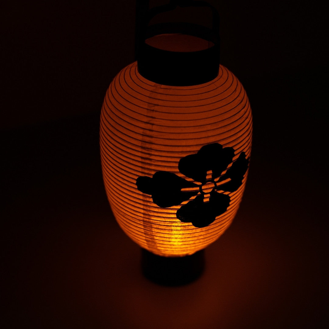 Neergekeken op een gloeiende Japanse papieren lantaarn met een handgeschilderd bloemen ruit-embleem in een donkere interieur.